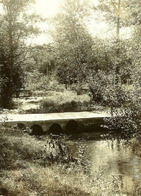Dinosaur Gardens - Old Post Card View (newer photo)